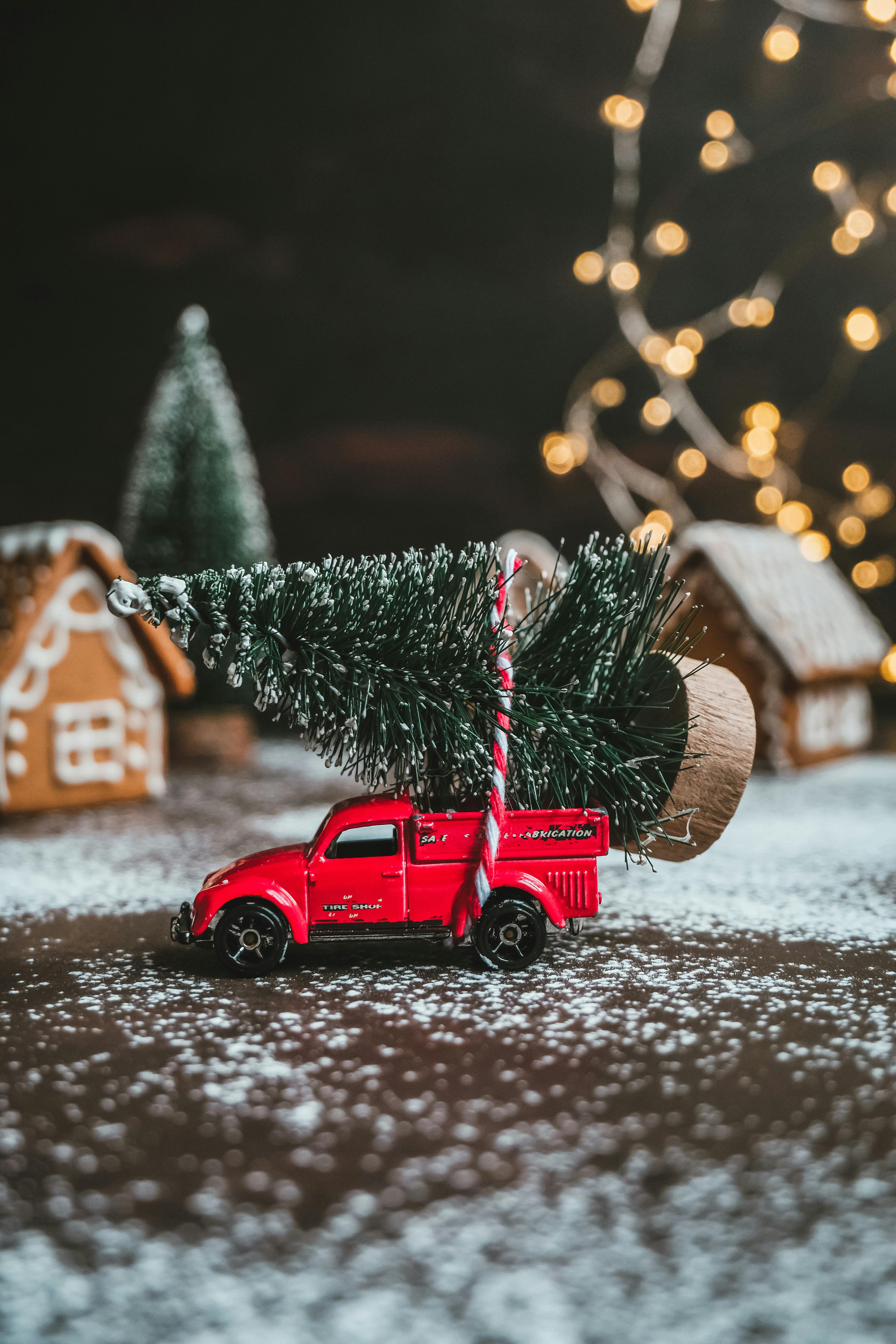 Photo of Christmas Landscape Creating with Toys · Free Stock Photo