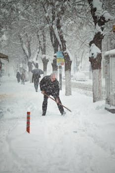 A man shoveling snow on a tree-lined street in Malatya, Türkiye, during a heavy winter snowstorm.