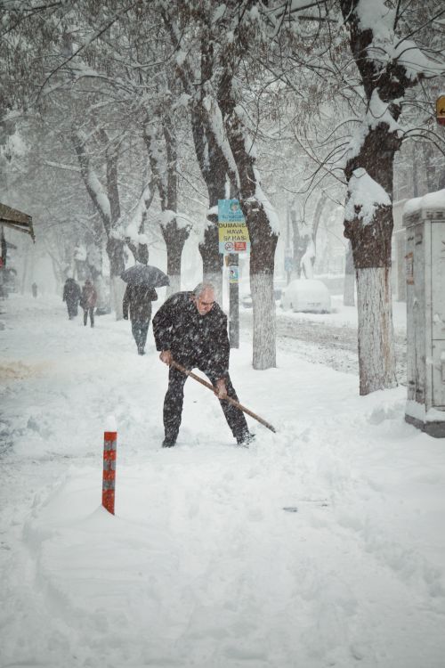 Free A man shoveling snow on a tree-lined street in Malatya, Türkiye, during a heavy winter snowstorm. Stock Photo