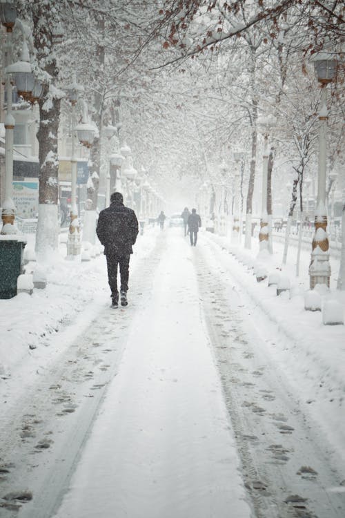 Foto d'estoc gratuïta de caminant, cobert de neu, constipat