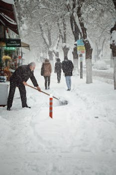 A snowy day in Malatya, Türkiye, with people clearing paths and walking under snow-laden trees.