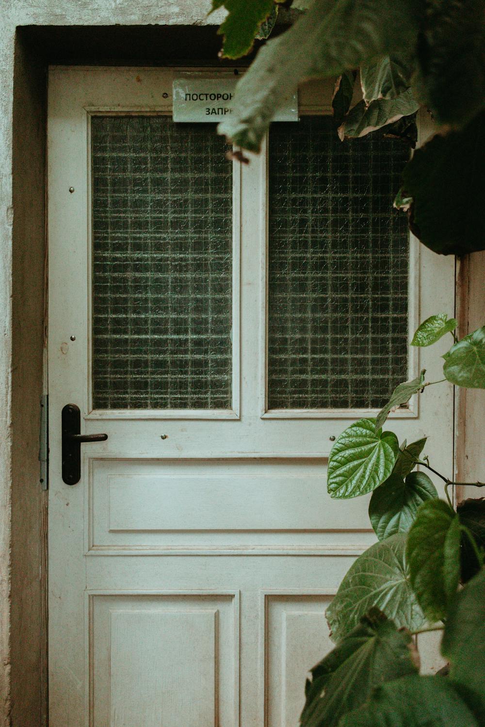 home entrance garden