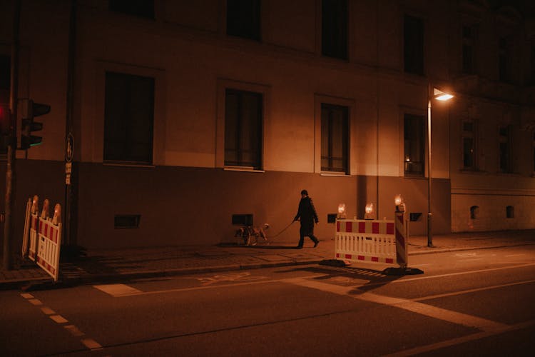 A Person Walking On The Street With His Dog 