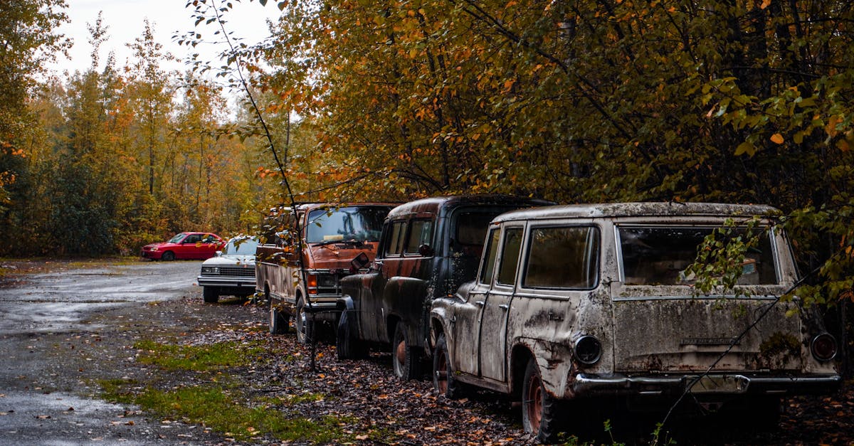 Talkeetna