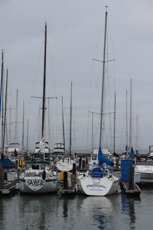 Yachts and Boats in Marina