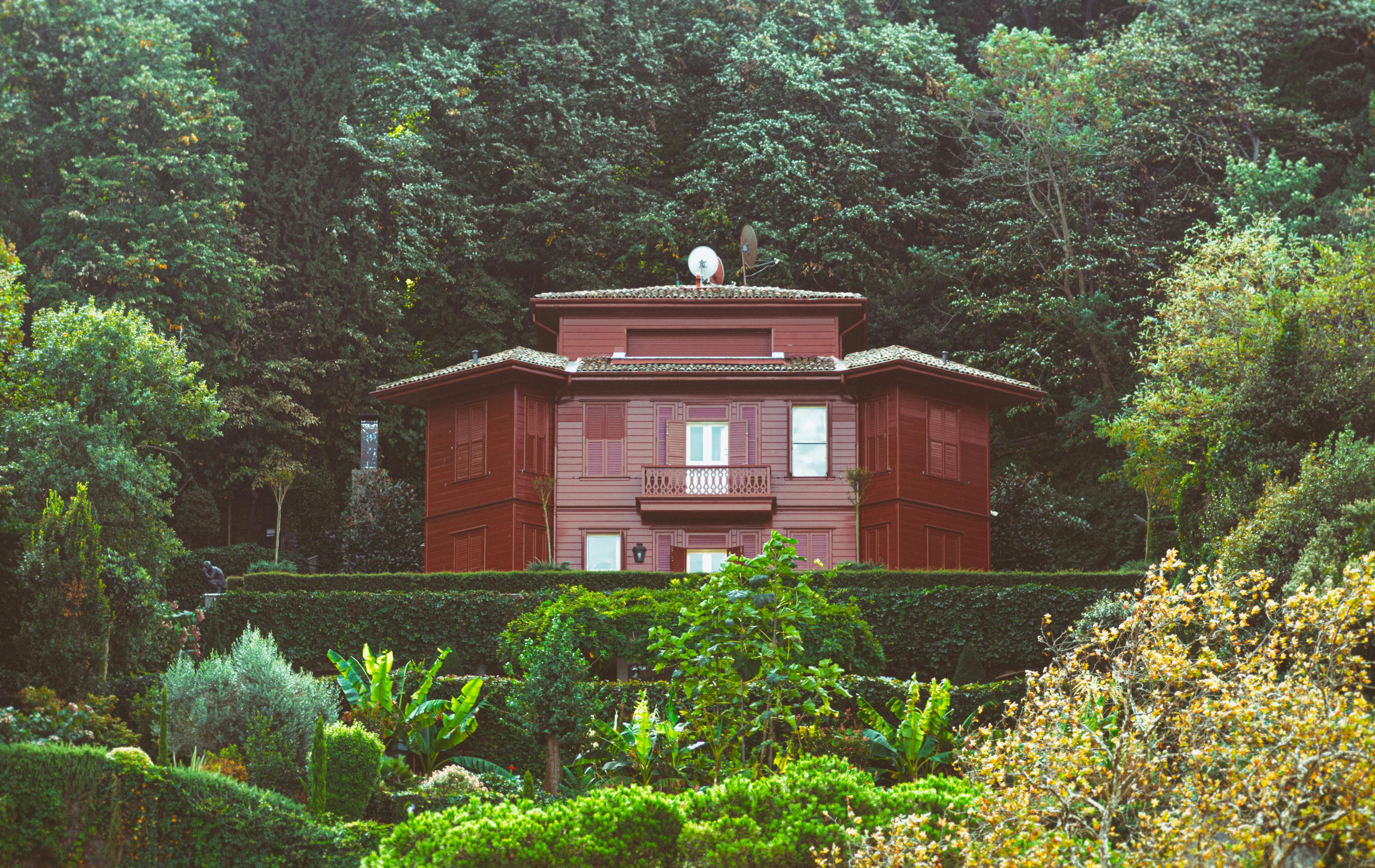 The Energy Vampires Haunting Your Home — Photo by Mahmoud Yahyaoui on Pexels