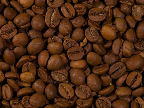 Close Up Photo of Roasted Coffee Beans