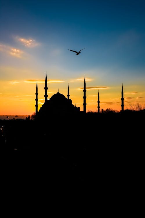 Silhouette of a Flying Bird Over a Grand Mosque During Golden Hour