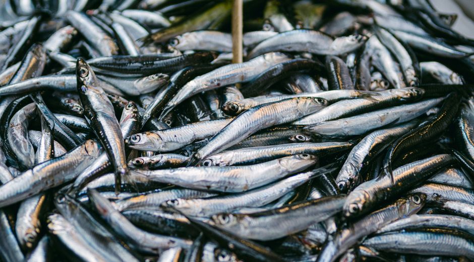 さまざまな号数のオモリが並ぶ釣り用品
