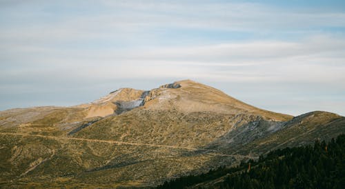 Gratis stockfoto met bergen, Bos, dor