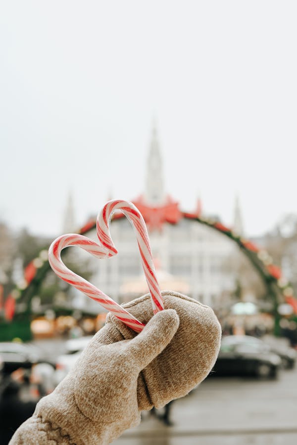 Christmas in Vienna