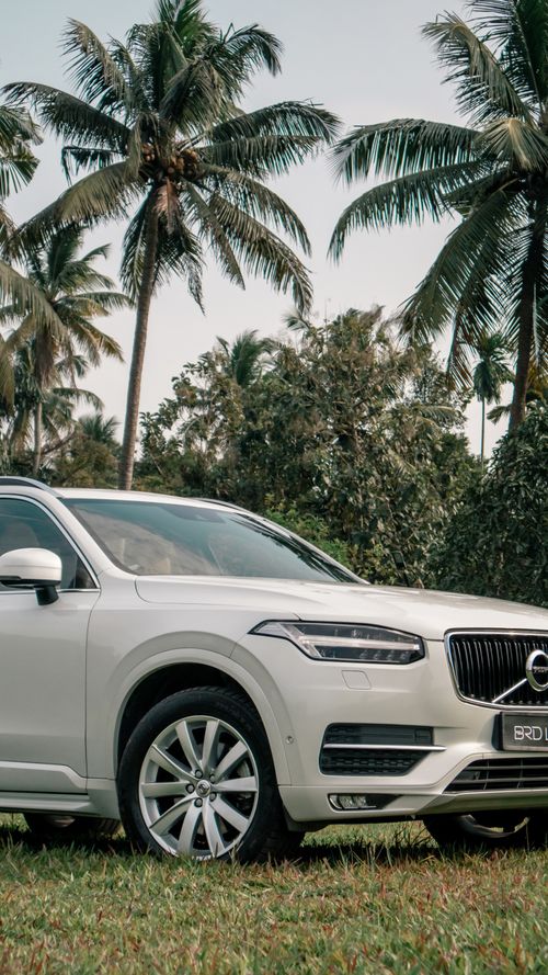 Free Elegant white SUV parked in a tropical landscape surrounded by tall palm trees. Stock Photo