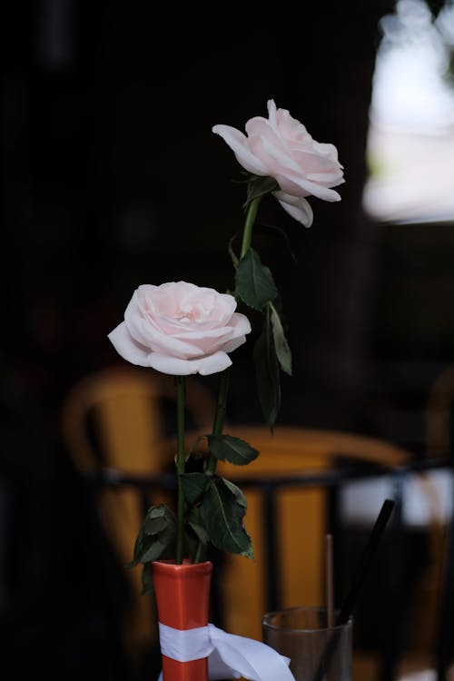Foto profissional grátis de fechar-se, floração, flores cor-de-rosa