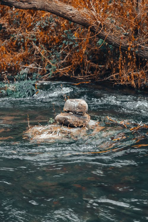 Fotobanka s bezplatnými fotkami na tému hromada, hromady, jeseň