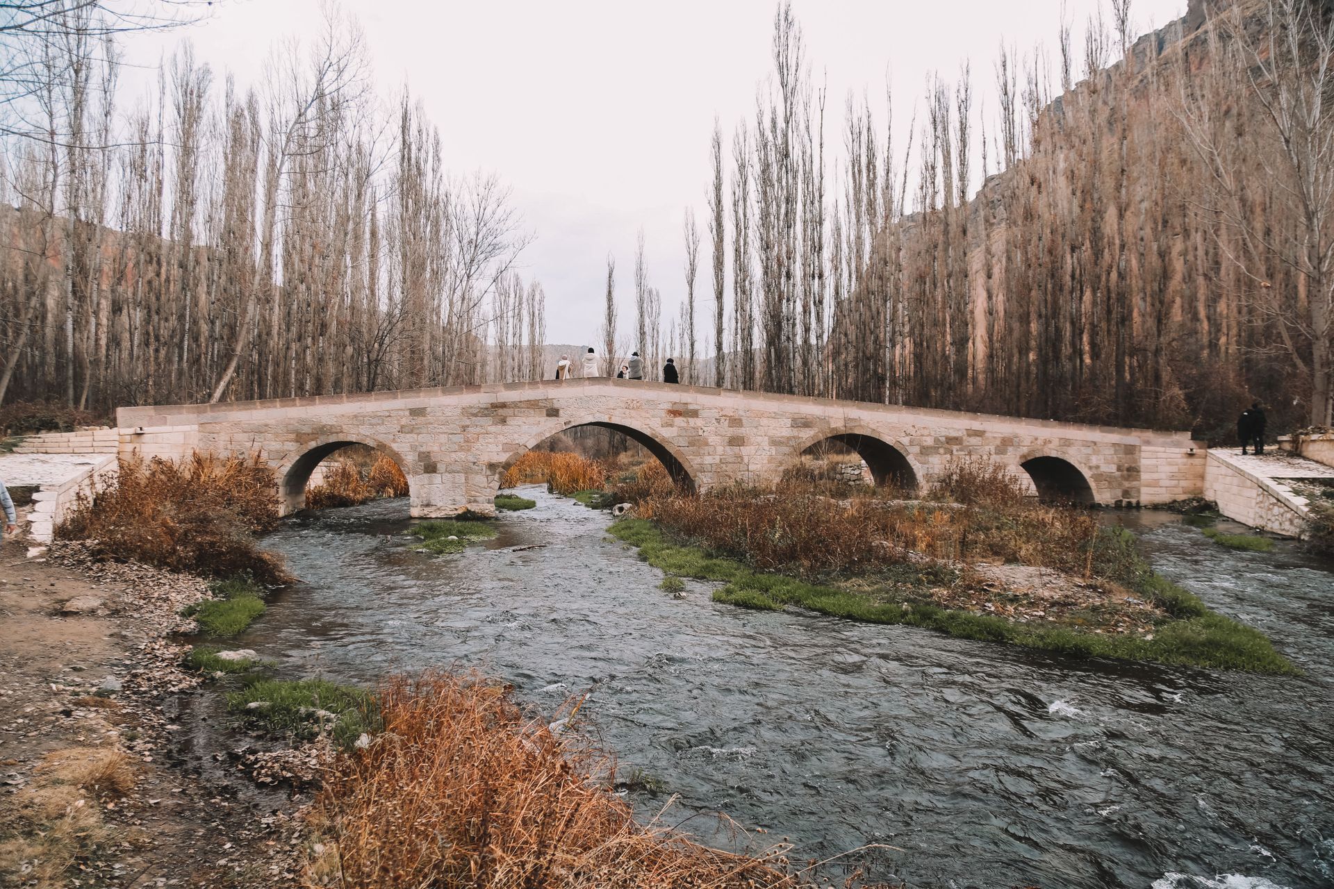 A serene view of a stone arched bridge crossing a gentle river in a natural setting.