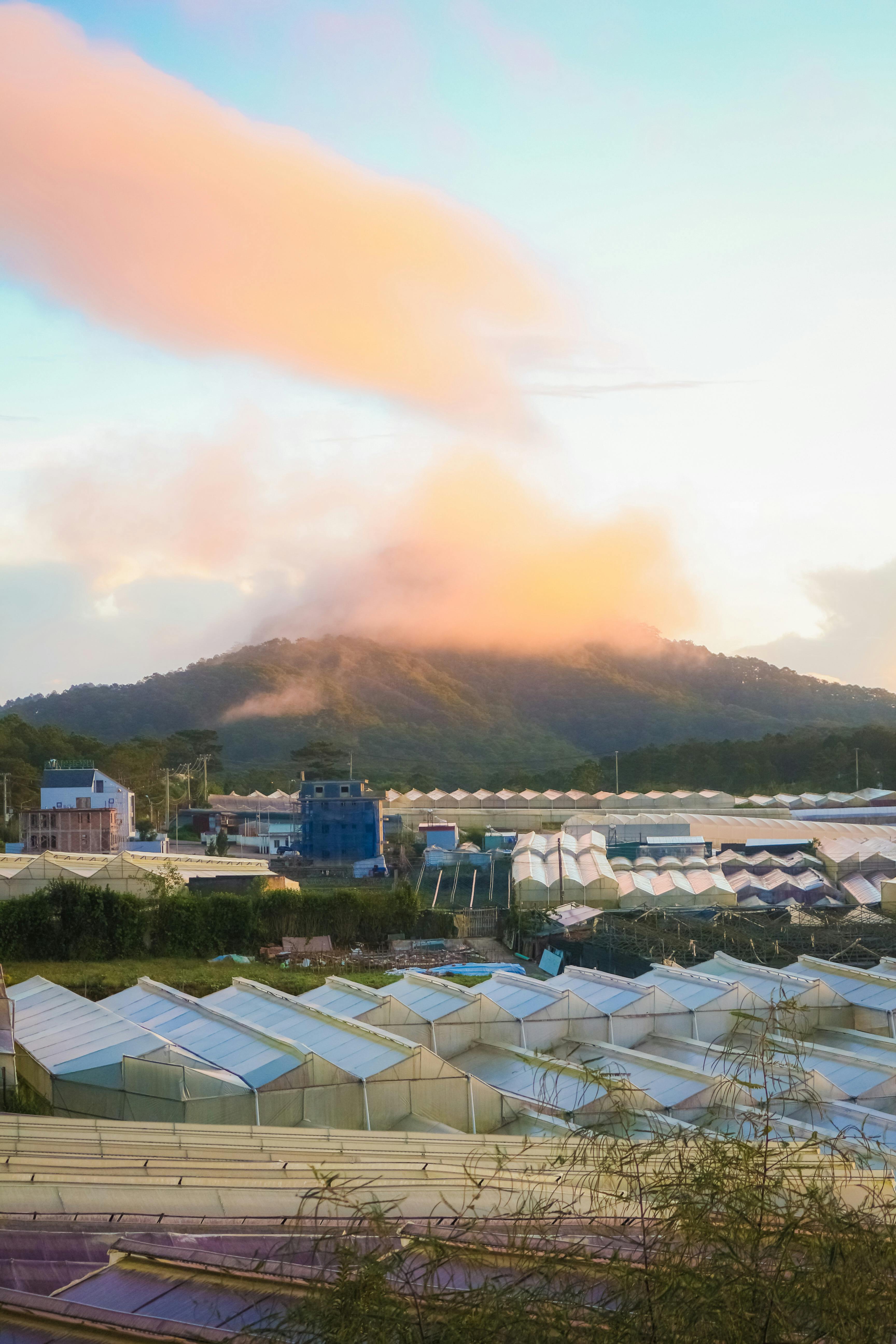 greenhouses wit mountain in background