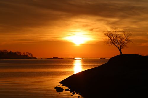 Free Breathtaking sunset scene with a tree silhouette reflecting on calm waters. Stock Photo