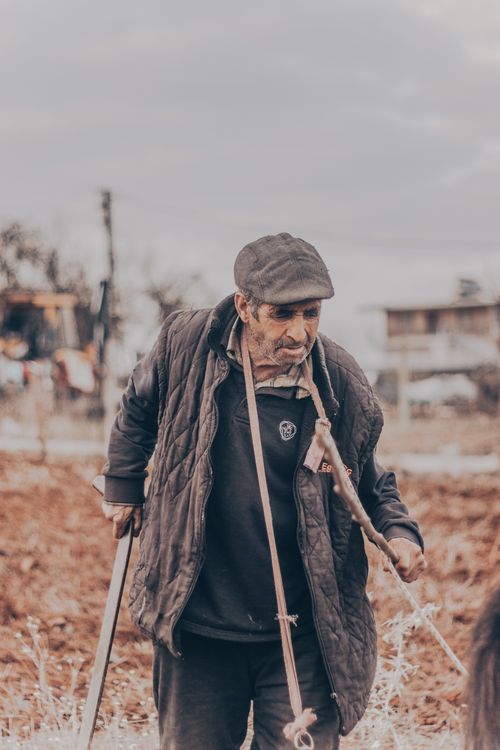 Free An elderly man working diligently in a rustic field, showcasing traditional agriculture. Stock Photo