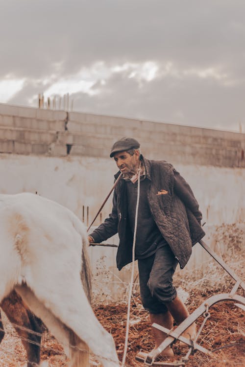 Foto d'estoc gratuïta de agricultor, agricultura, arada