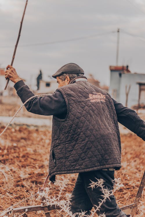 Foto d'estoc gratuïta de agricultura, camp, d'esquena