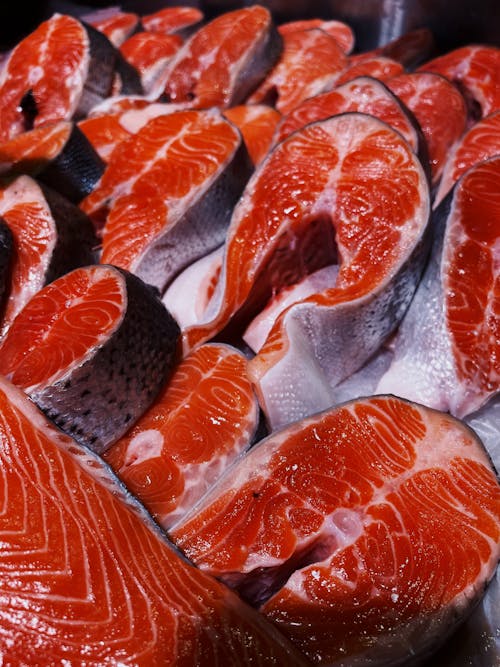 Безкоштовне стокове фото на тему «лосось, морепродукти, риба»
