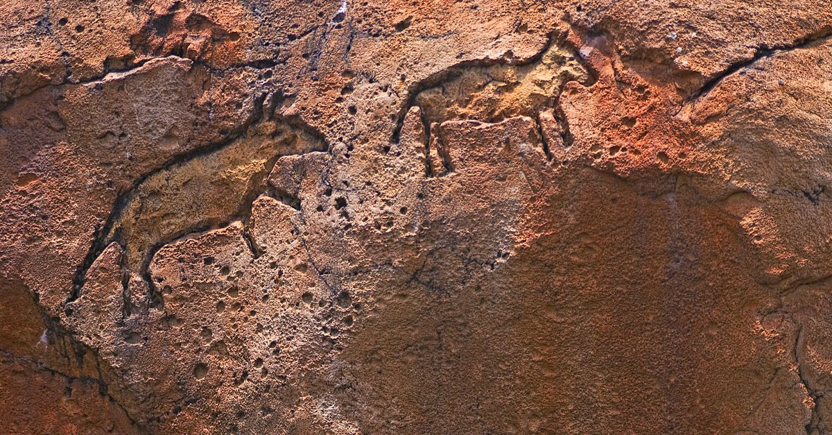 Ancient Drawings Spring Prehistoric Drawings on Rock Surface · Free Stock Photo