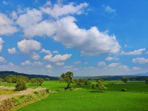 Kostenloses Stock Foto zu blau, blauen himmel, blauer himmel