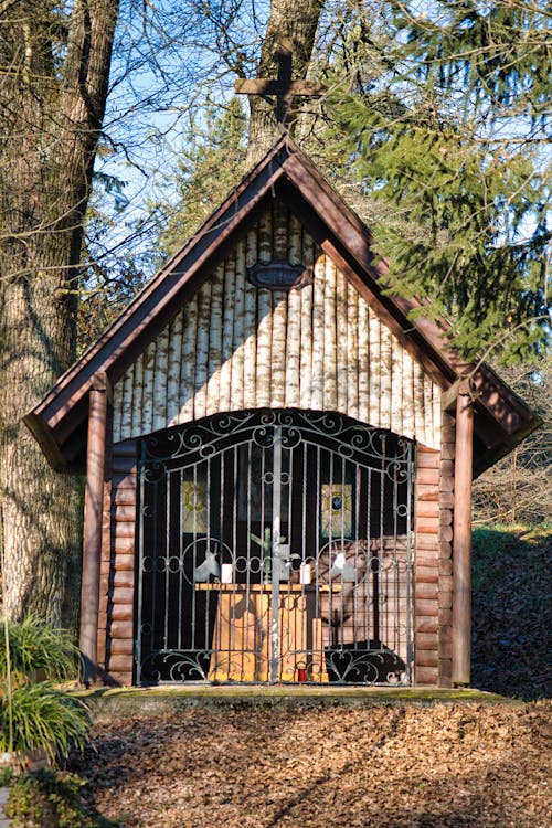 Wooden Cabin in Forest