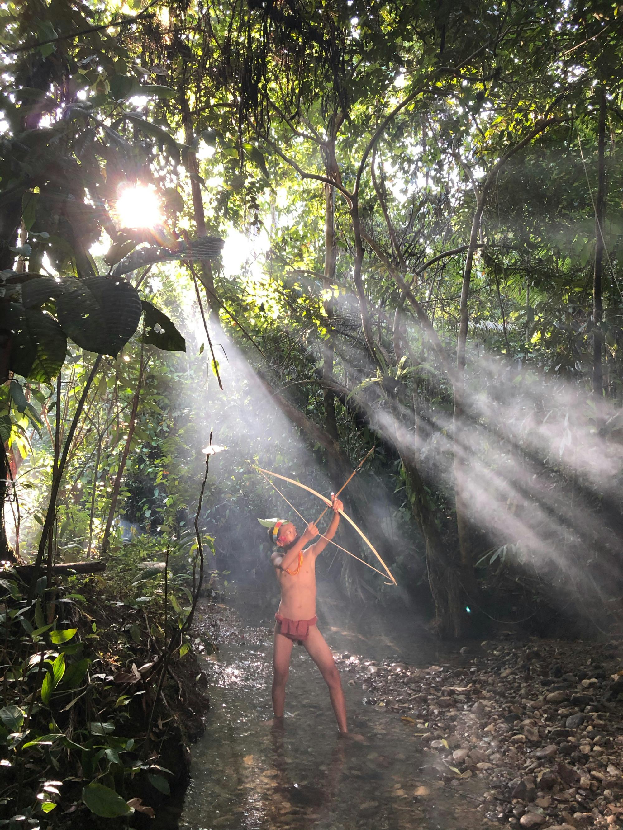 Archer Hunting in Rainforest · Free Stock Photo