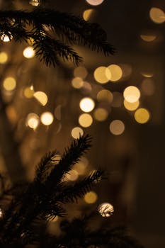 Close-up of Christmas tree branches with warm bokeh lights creating a festive atmosphere.