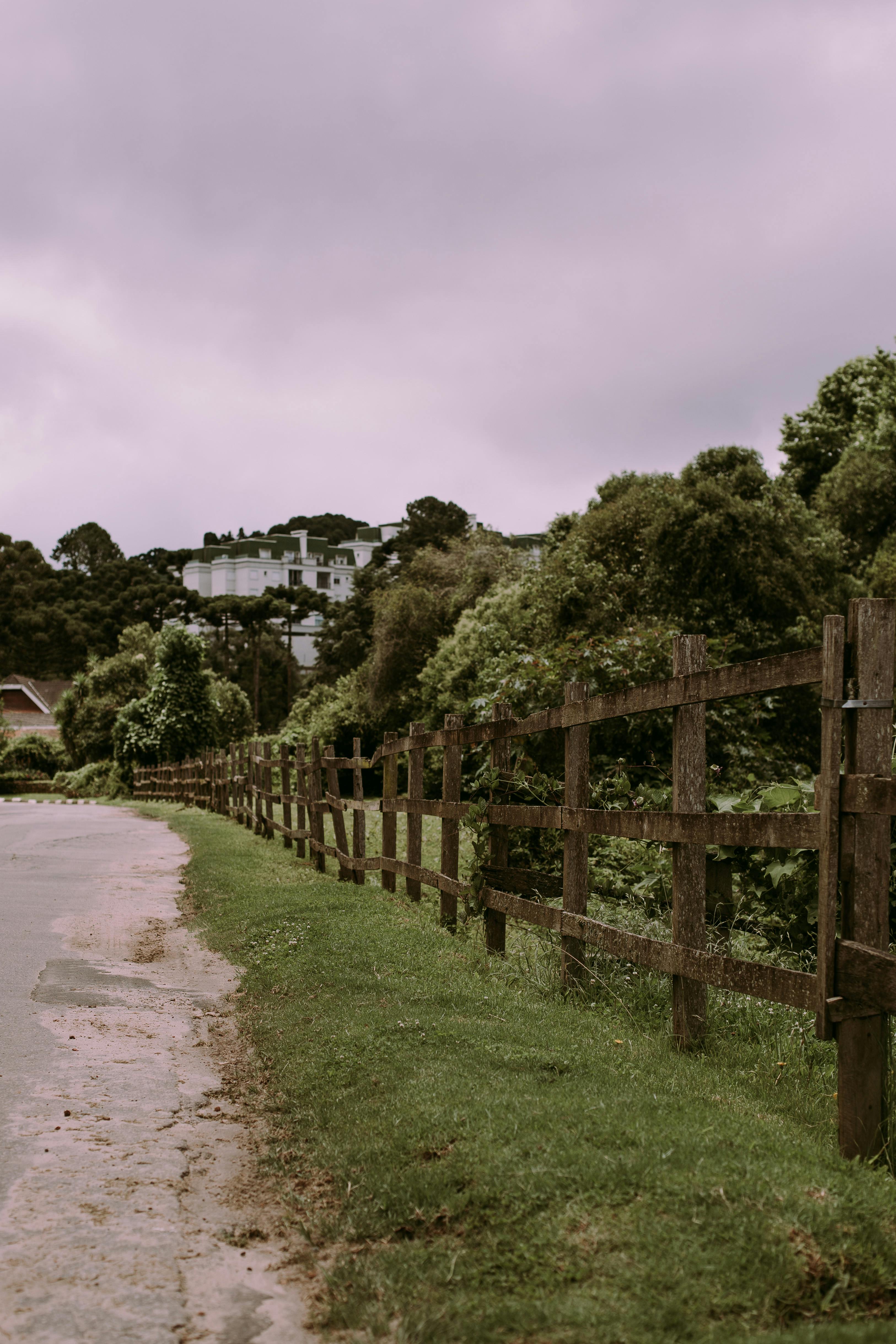 Trees and Wooden Fence near Road · Free Stock Photo, image size:3251x4877