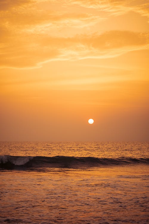 Photos gratuites de côte, coucher de soleil, faire signe