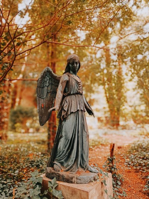 Free A tranquil angel statue in a lush autumn forest creates a serene scene. Stock Photo