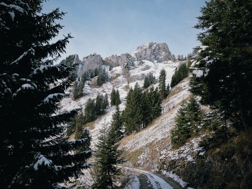 Free A serene snowy mountain landscape with evergreen trees and rugged terrain. Stock Photo