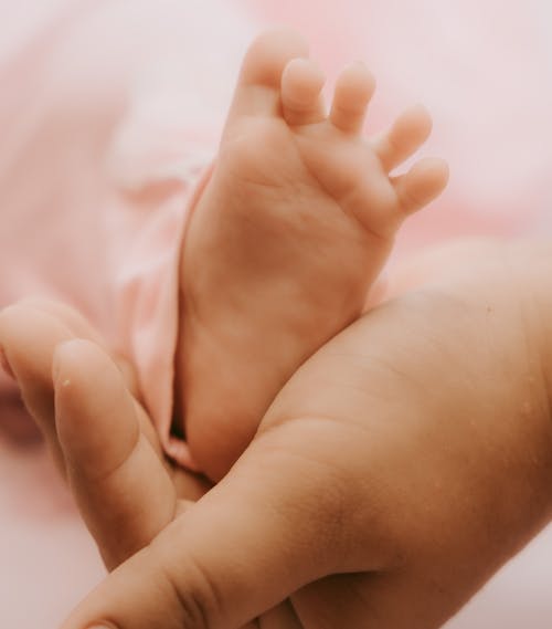Foto stok gratis bayi, cute, kaki