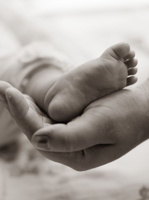 Free A heartwarming black and white photo of a baby's foot resting in an adult's hand, symbolizing care and love. Stock Photo