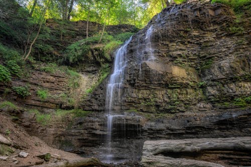 Waterfalls Coming from Forest Above