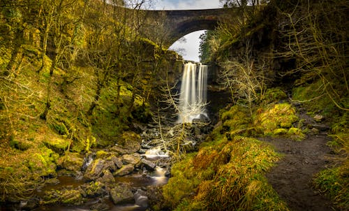 Waterval Dichtbij Brug Omringd Door Bomen