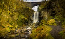 瀑布上有一座拱桥的美丽森林场景，捕捉了大自然的宁静