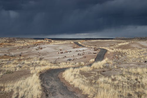 Storm Clouds over Desert