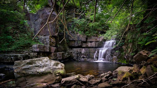 無料 森の滝 写真素材