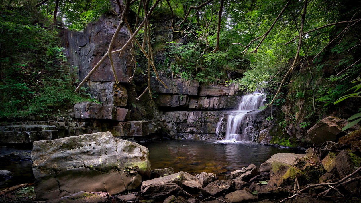Free Waterfall in Forest Stock Photo