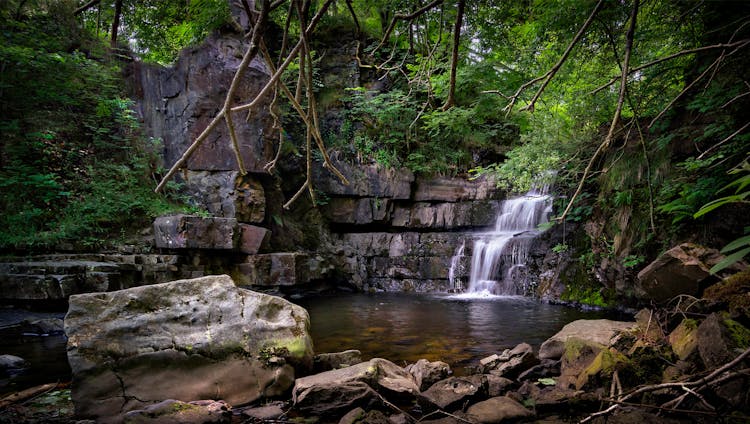 Waterfall In Forest