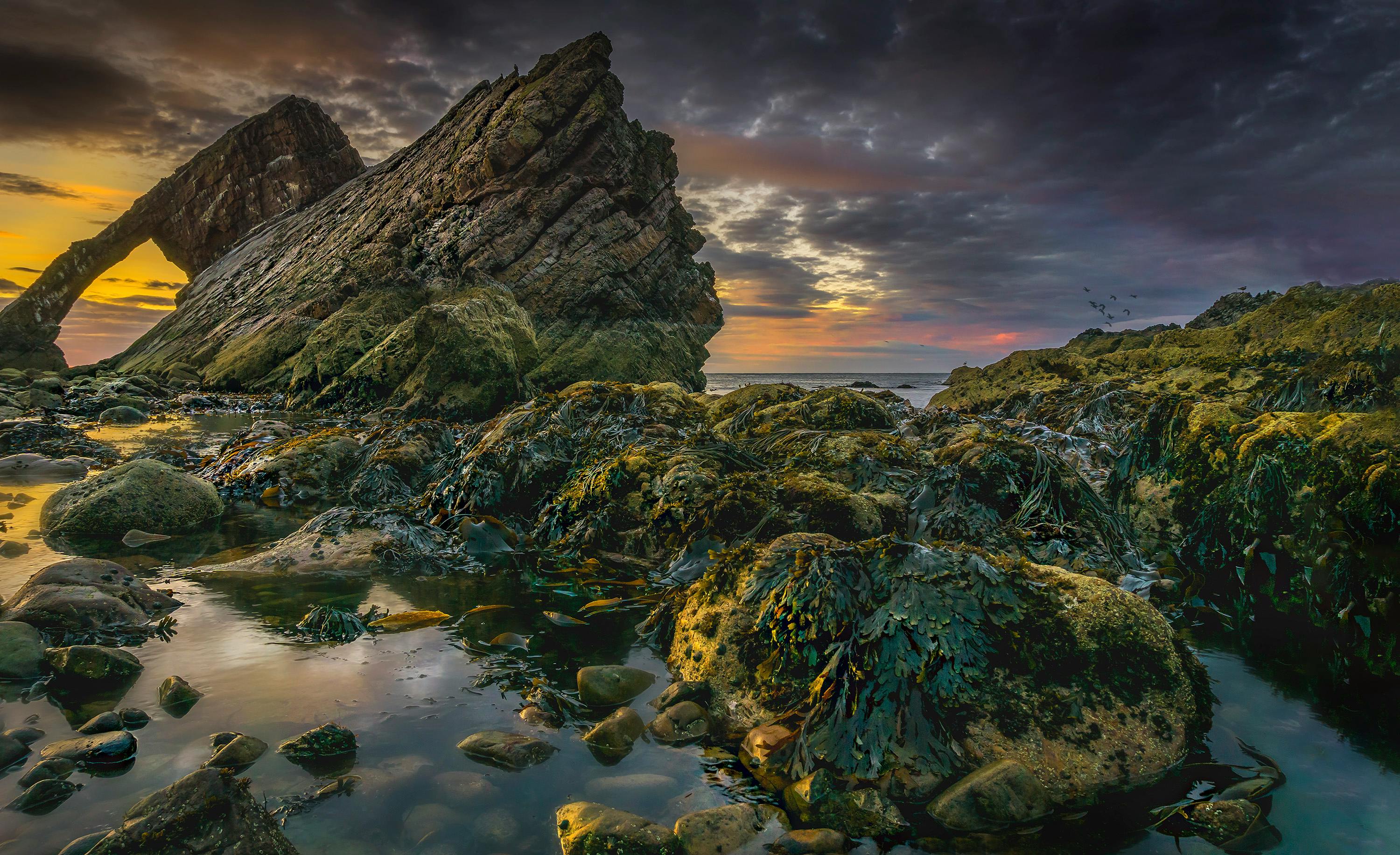 日落时分，布满海藻的沿海岩层令人惊叹，营造出充满活力的海景