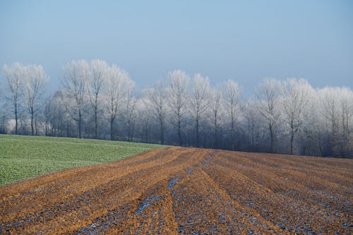 Free Frozen landscape Stock Photo