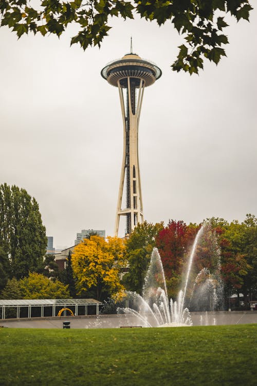 Free stock photo of fall colors, seattle space needle, trees