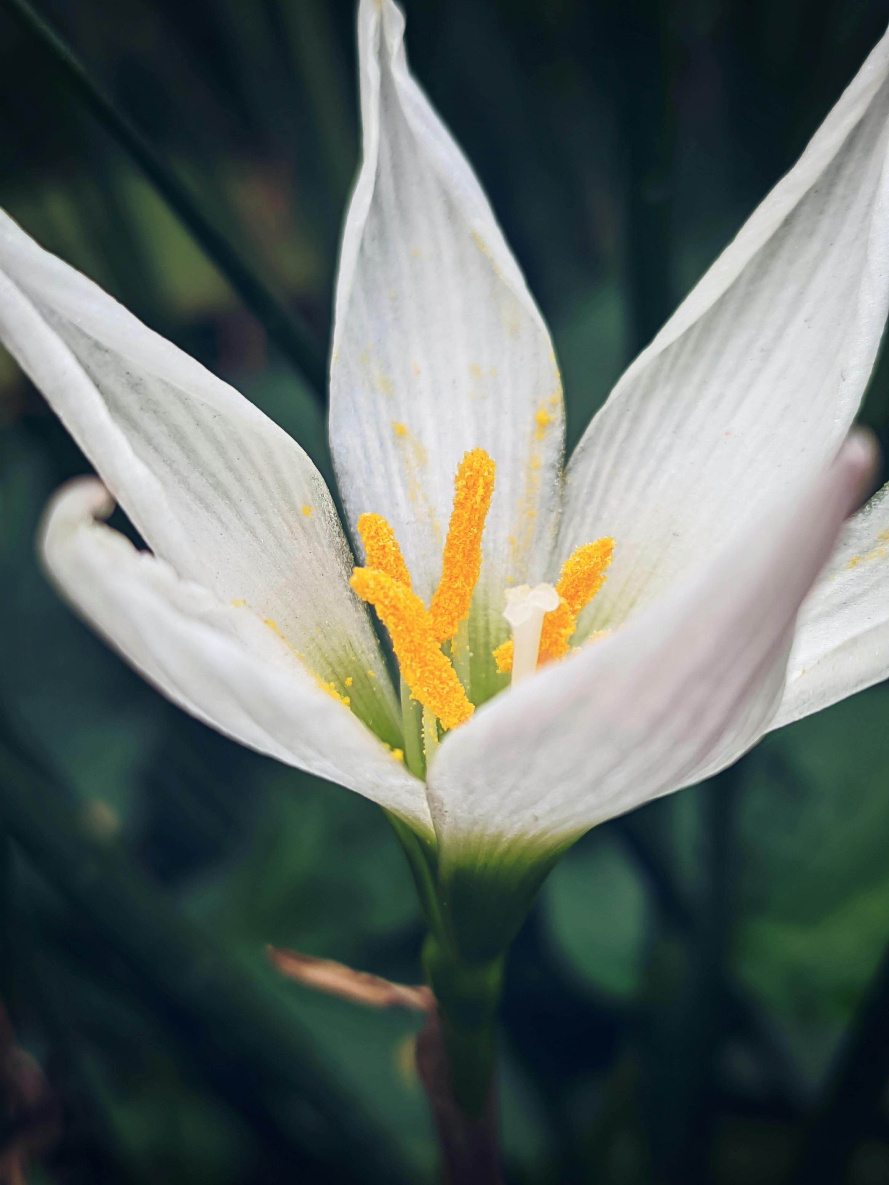 Is it OK for OSB to get rained on?