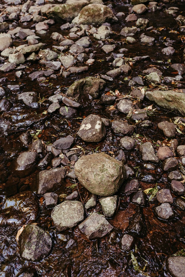 Rough Solid Textures Of Rocks Photo