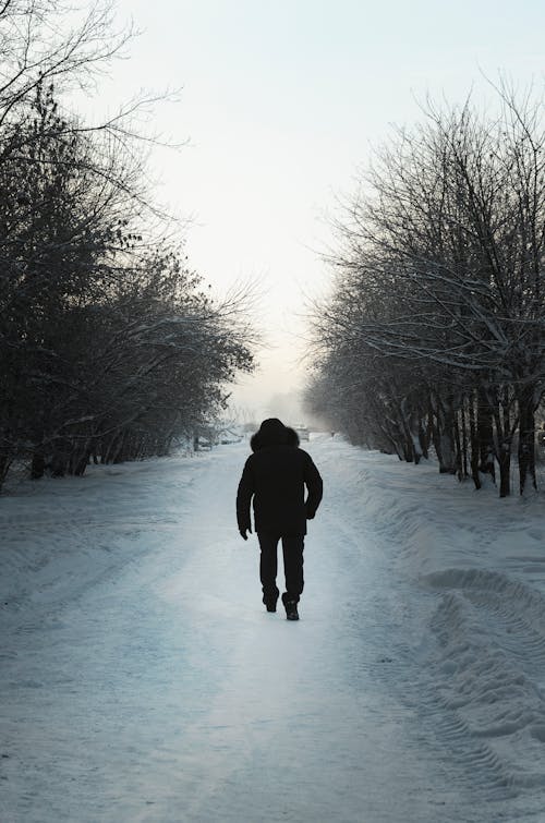 Man Walking in Countryside in Winter