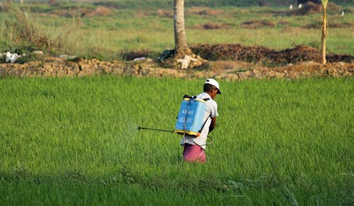Ingyenes stockfotó @szabadtéri, bangladesi falu, bangladesi farmer témában